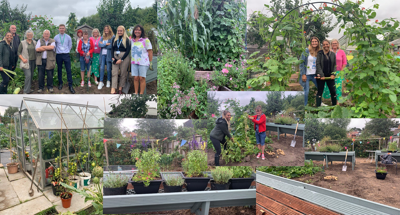 Rushcliffe Allotments collage