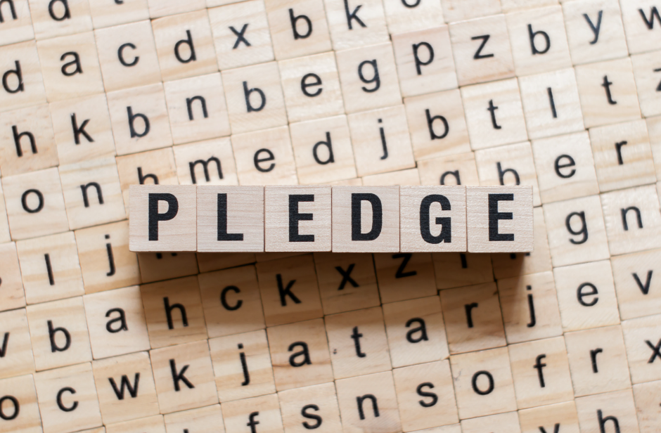 Make a pledge 