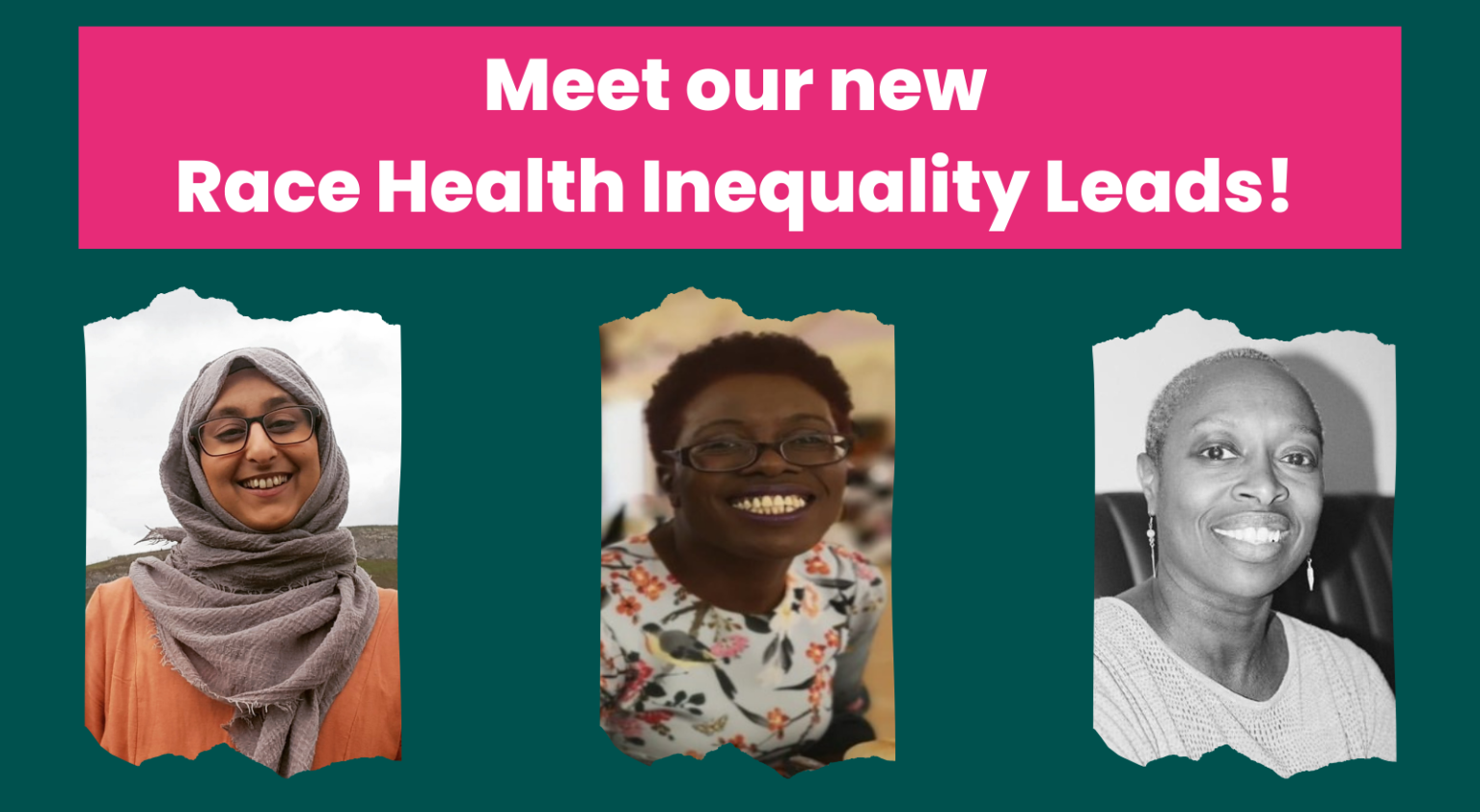 Text says "Meet the Race Health Inequality Leads"